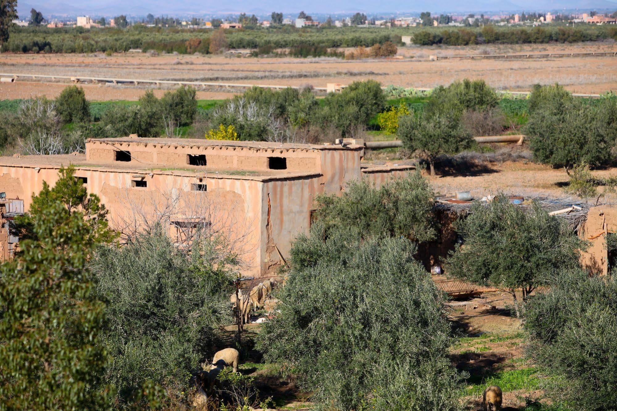 Riad Couleur Sable Sidi Abdallah Ghiat Екстериор снимка
